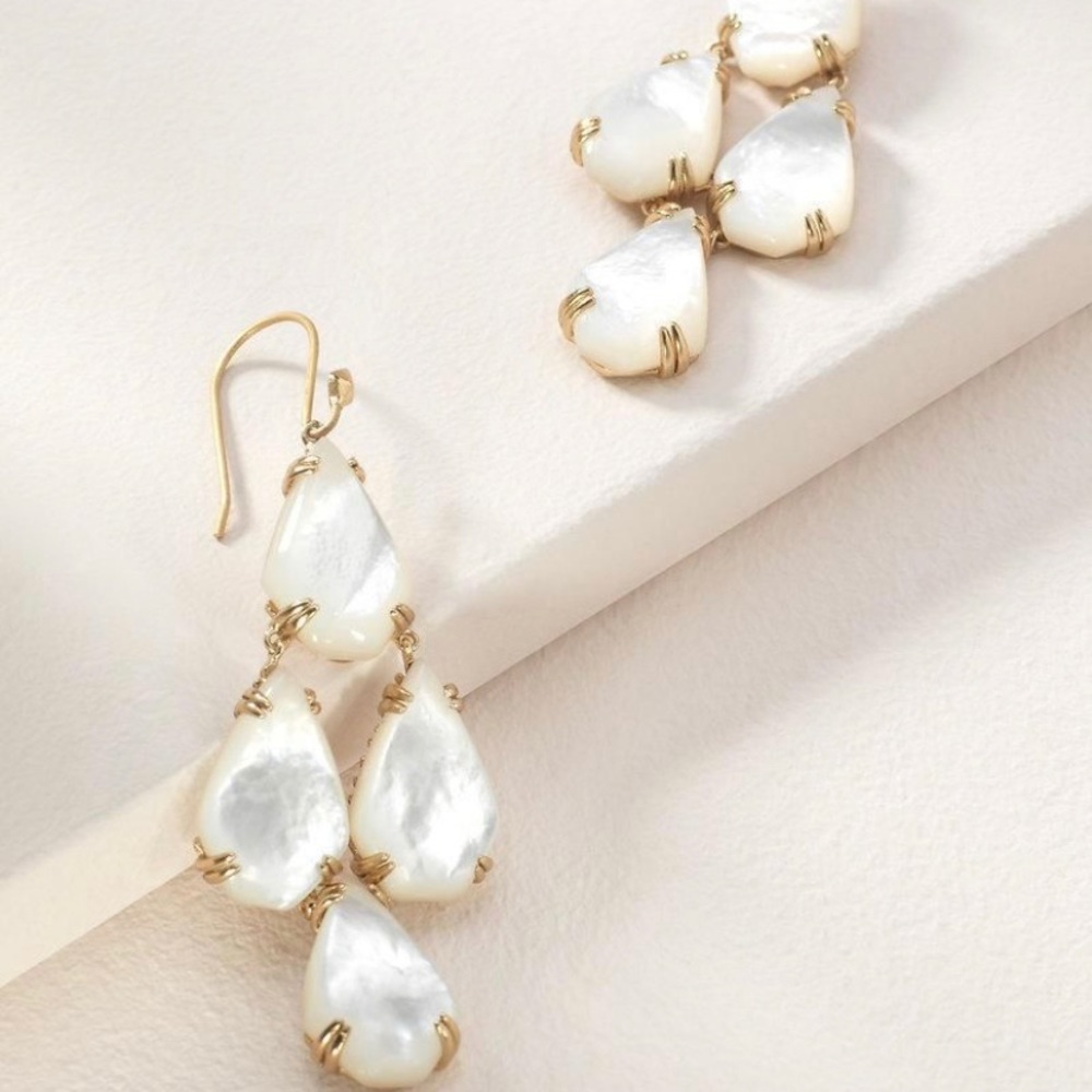 Botanical Chandilier Statement earrings